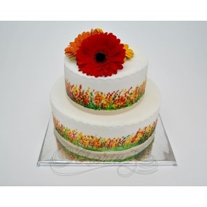 Торт с живыми цветами "Весна", девушке, женщине, рисунок, поле